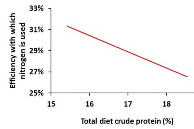 Relationship between total diet crude protein content and the efficiency with which nitrogen is used by dairy cows