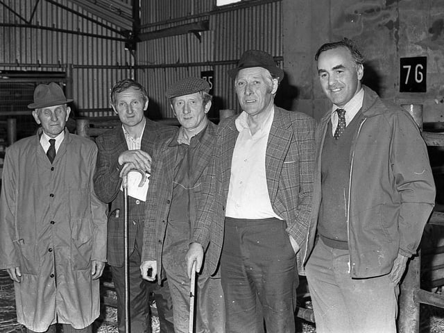 Watching the judging of the Border Leicesters at the show and sale at Ballyclare in September 1981 are James Dunlop, Sam Agnew, John Agnew and Tom Horner. Picture: Farming Life archives