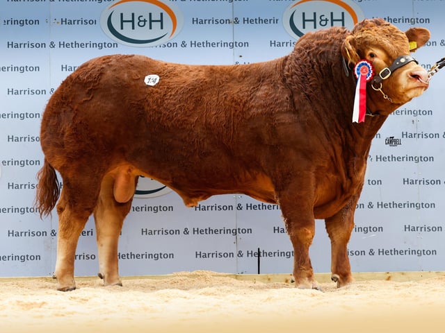 Wedderburn Apollo 20,000gns