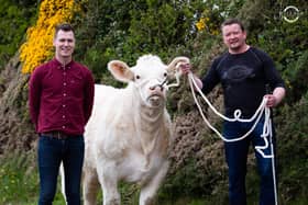 Paul McDonald, vice-chairman FPLB Group, and Thomas Keelagher, committee member with the Charolais heifer, first prize in the recently launched prize draw. Tickets available from all group members.