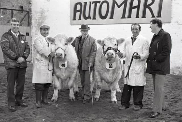 Pictured in November 1982 is Eric Williamson, George Allen, George Greer, herd manager, and Tom Clarke with George Allen’s prizewinning heifer at a Charolais breed show and sale which was held at Portadown. Picture: News Letter archives