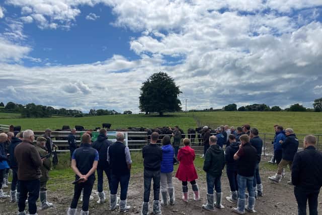 Andrew Clarke from Foyle Food Group speaking on the management of multi-species swards at the farm walk held at the farm of Wayne Acheson, Sandholes, Cookstown as part of the Multi-Species Swards “Science and Practice” event. Picture: AgriSearch