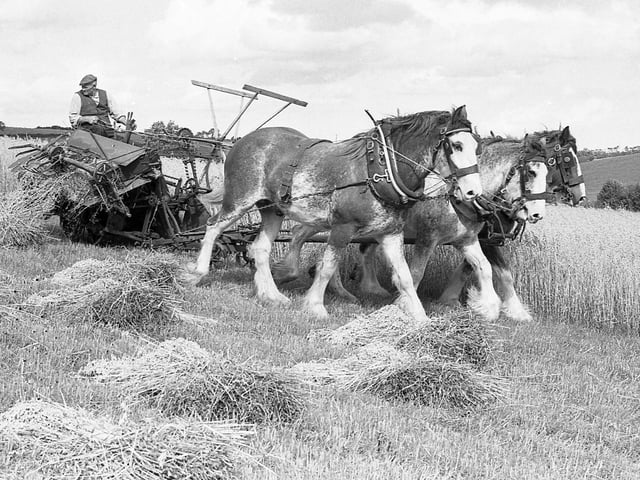 This collection of old photos is from 1981.
