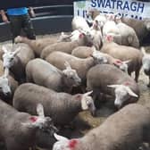 Latest prices from Swatragh