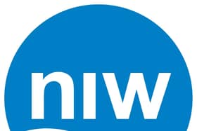 Northern Ireland water logo