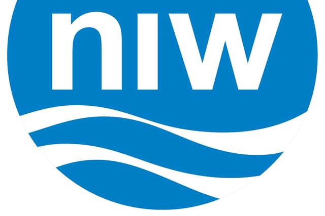 Northern Ireland water logo
