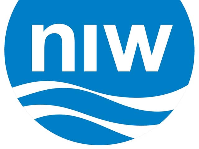 Northern Ireland water logo