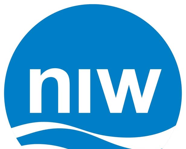 Northern Ireland water logo