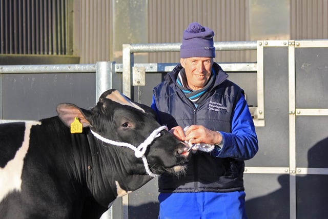 Malcolm McLean, Relough Herd, was one of the vendors at the Kilrea Holstein bull sale. 