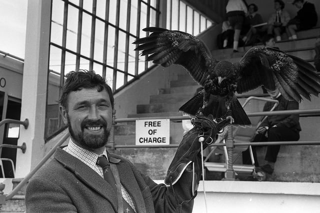Steve Wright pictured with one of his birds of prey at the Balmoral Show in May 1991. Mr Wright had the opportunity to speak to the Secretary of State's wife about the qualities of his Lana falcon, Stewart. Picture: News Letter/Farming Life archives