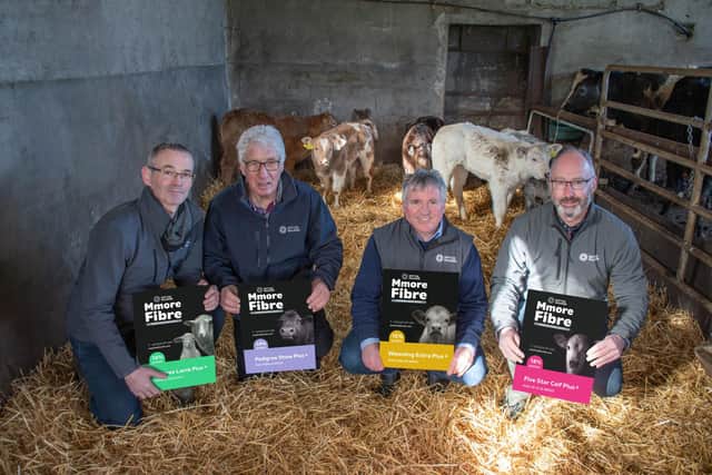 Pictured at the Mmore Fibre launch (L-R) Smyths Daleside, Cathal Doherty – Commercial Director, Jeremy McGonigle – Sales Director, Ray Winters – Managing Director & Brendan McFeely – Sales Adivsor