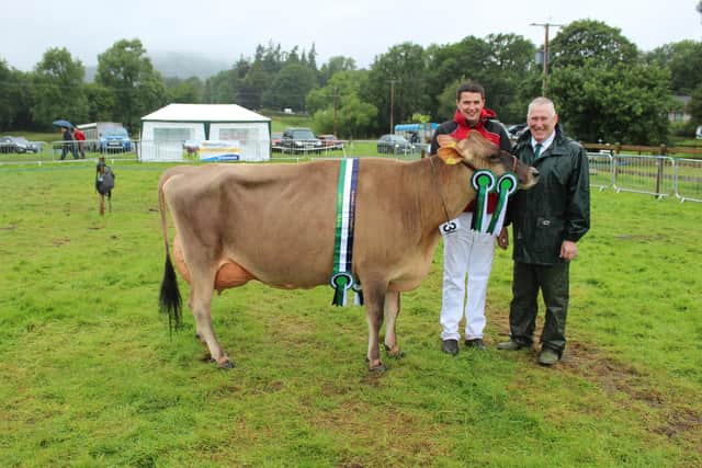 The dairy inter-breed champion at Clogher Valley Show 2023. Picture: Richard Halleron