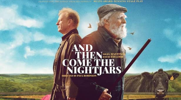 The poster for And Then Come The Nightjars.