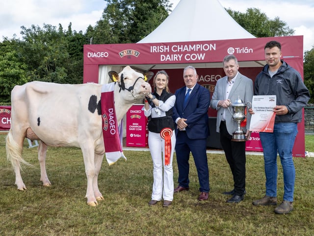 Diageo Baileys Heifer in Milk Award winner, best Exhibitor Bred and Honourable Mention (Overall 3rd Place) at this years Virginia Show was Annaghmore Rager KD Jackie. Pictured are Handler Angela Rafferty, Robert Murphy – Category Head, Baileys, Anthony Farrelly, Site Manager at Tirlán Virginia and herdsman Josh Ebron at Annaghmore Holsteins Co Armagh. Picture: Finbarr O'Rourke