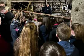 Dairy stock judging club competition