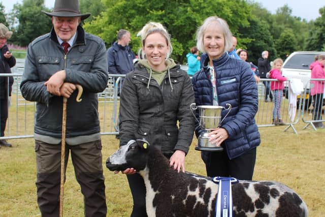 The inter breed sheep champion at Castlewellan Show 2023. Picture: Richard Halleron