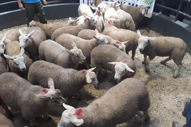 Swatragh Mart