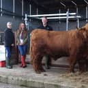 Alastair Moore (right) and his wife Linda (first left) from MayneCurragh Farm with joint owners, Ashley and Clive Backus, from Kildrum Highlanders, Ballymena. (Pic: Isobel O'Brien)