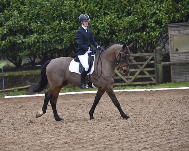 Lucca Stubington rides her steed successfuly in the Open tests. (Pic: Equi-Tog)