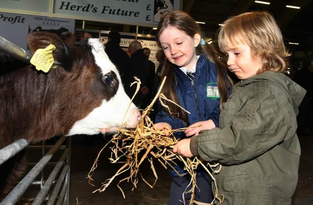Michael (4) and Sile Murray, aged 6, from Randlestown enjoying the Winter Fair at the King's Hall feeding a wee Hereford calf.  Picture by Bernie Brown