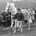Pictured at the Harp National in Downpatrick in February 1992 is the legendary Desert Orchid who put in a guest appearance the races. The News Letter reported that he “strutted, proud and tall, around the race track to loud and eager applause, looking every bit the champion”. Fans had turned out to get a close look at the grey who had retired from racing two years previously. Picture: News Letter archives