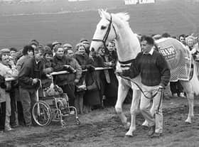 Pictured at the Harp National in Downpatrick in February 1992 is the legendary Desert Orchid who put in a guest appearance the races. The News Letter reported that he “strutted, proud and tall, around the race track to loud and eager applause, looking every bit the champion”. Fans had turned out to get a close look at the grey who had retired from racing two years previously. Picture: News Letter archives
