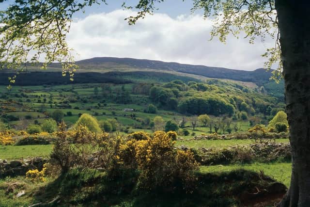 Slieve Gullion Forest Park is well signposted on roads around Newry and South Armagh. Picture: NITB Photographic Library