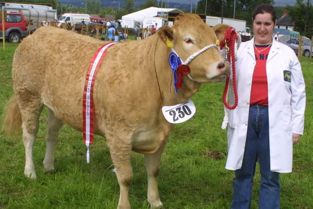 Angela Griffin with the Blonde d'Aquitaine reserve champion at the Antrim Show in July 2002. Picture: News Letter archives/Kevin McAuley