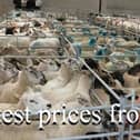 Armoy mart