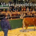 Omagh Mart