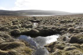 Dungonnell Wetland