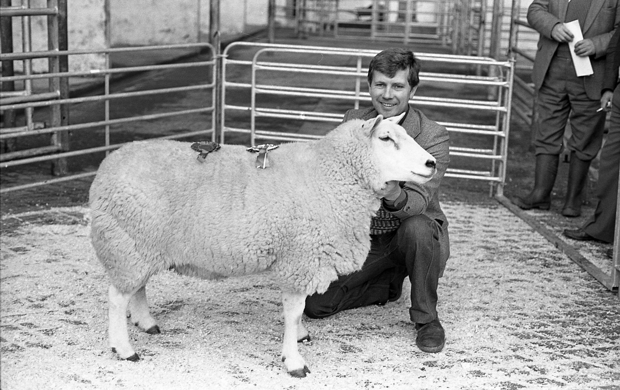 Texel pedigree sheep were in brisk demand at the breed show and sale which was held at Automart, Portadown, in October 1981. The top price of 570gns was paid for an outstanding ewe, which was supreme champion for Jim Scott Jnr, Killyleagh. Mr Scott is pictured here with the Texel supreme champion. Picture: Farming Life archives/Darryl Armitage