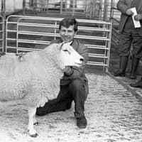 20 Farming Life Photos from 1981 That Tell an Interesting Story