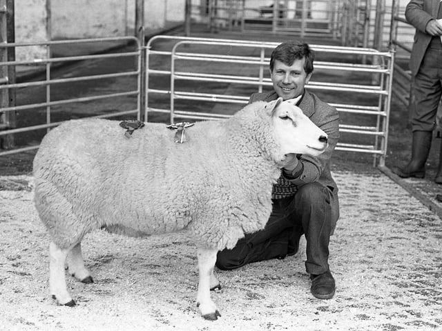 Texel pedigree sheep were in brisk demand at the breed show and sale which was held at Automart, Portadown, in October 1981. The top price of 570gns was paid for an outstanding ewe, which was supreme champion for Jim Scott Jnr, Killyleagh. Mr Scott is pictured here with the Texel supreme champion. Picture: Farming Life archives/Darryl Armitage