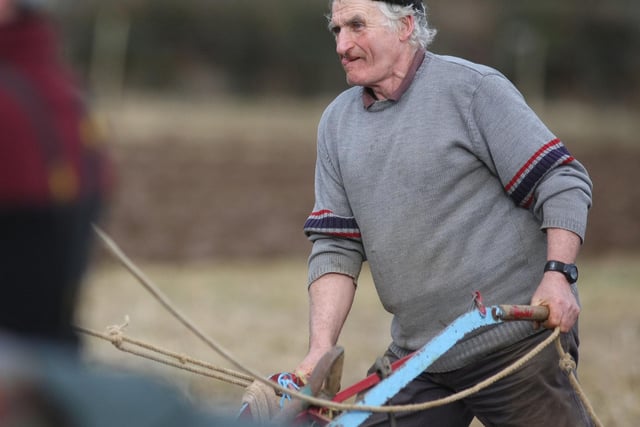 Concentration at the Mullahead Ploughing match. Picture: Steven McAuley/Kevin McAuley Photography Multimedia