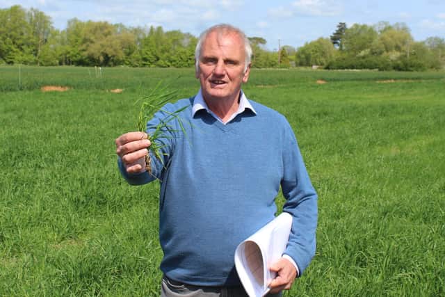 One herbicide resistant blackgrass plant can produce thousands of seeds