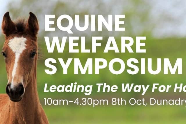 NIVA Equine Welfare Symposium returns for 2025: Leading The Way For Horses