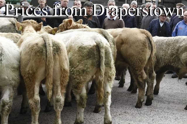 Draperstown Mart