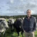 Eamon Healy will be judging over the Breeding Heifer class at this year’s Championships