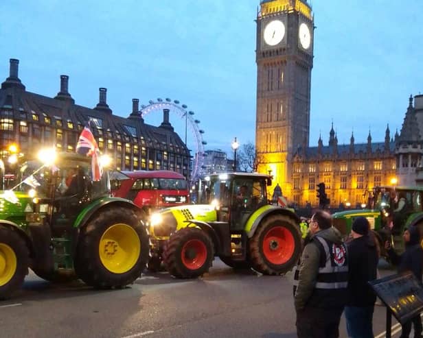 The London protest beside Big Ben and Westminster was a "huge success". (Pic: FFA)