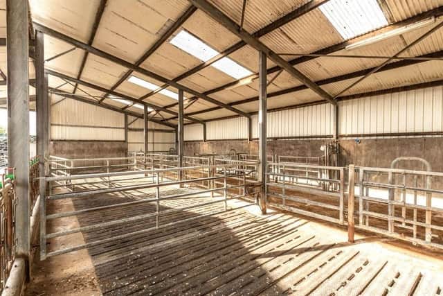A key feature of the farm is the range of farm buildings which are of modern construction and provide winter accommodation for about 150 head of cattle, livestock handling facilities and storage for machinery and fodder. Image: Savills