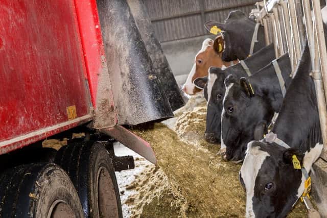 The growing season of 2022 has led to challenges with forage quality,