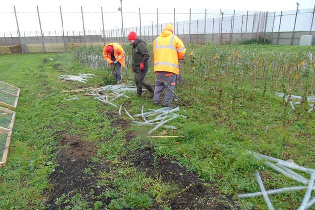 Causeway Coast and Glens Heritage Trust (CCGHT) have been awarded funding of £93,414 over two years to continue to develop the native tree nursery within HMP Magilligan to supply native trees to planting projects across Northern Ireland. Picture: Submitted