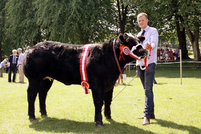 Sam Matchett, from Portadown, with his overall champion in the Commercial class at Lurgan Show. Picture: Cliff Donaldson