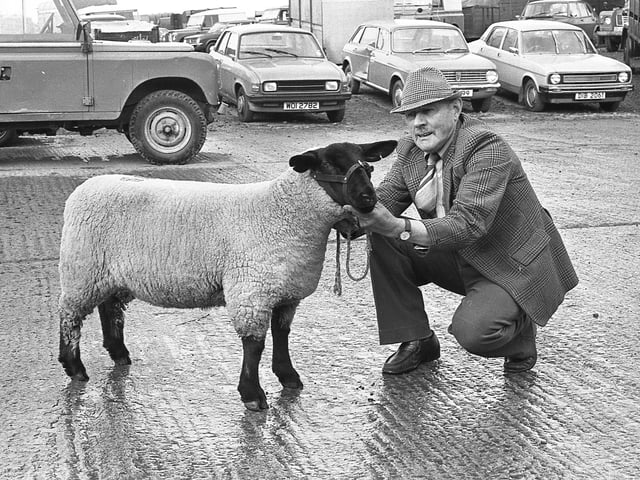 This collection of old photos is from 1981.