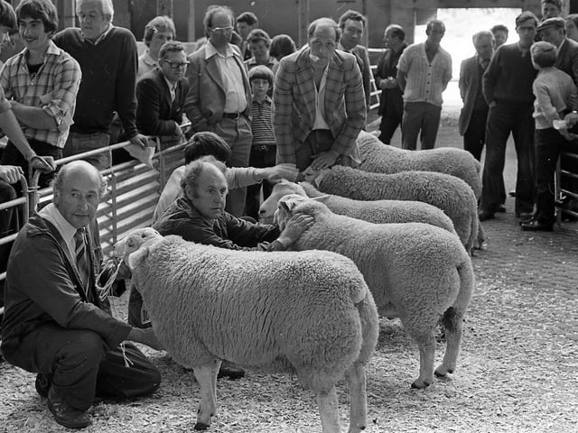 This collection of old photos is from 1981.