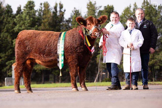 William and Lewis Dodd exhibited the yearling champion Glenbrae Red Miss Kayo Y477 ET.  Included is George McWhirter, Certified Irish Angus Beef, sponsor. PIcture: David Porter, Mullagh Photography 