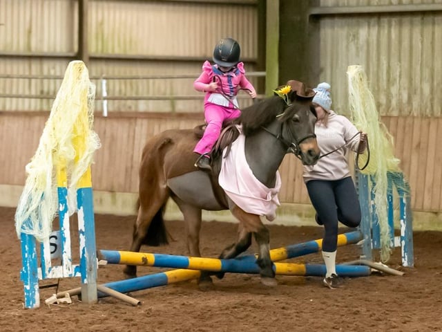 Hey Look at Mee and Georgia Davey take third place in the assisted cross poles. (Pic: Equi-Tog)