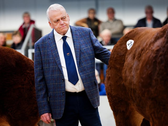 Judge Mr Neil Martin, Ashmara Limousin herd