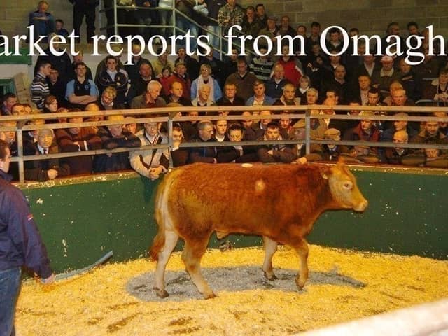 Omagh Mart